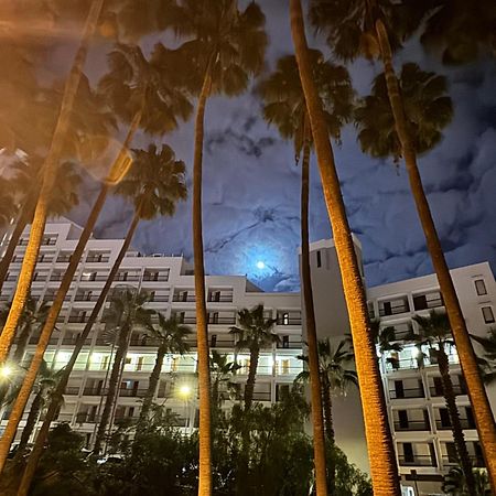 Vina Del Mar Lejlighed Playa Feñabe Eksteriør billede