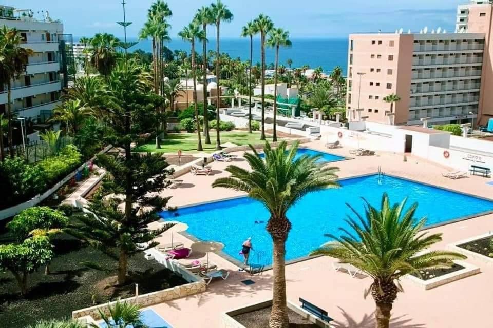 Vina Del Mar Lejlighed Playa Feñabe Eksteriør billede